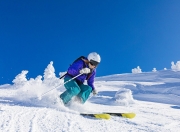 雄鹿不断突破！蒂姆连续二十场比赛得分，最后时刻胜出再创辉煌时刻