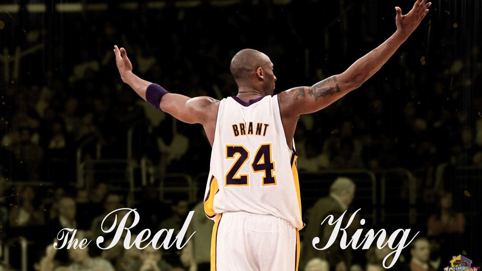 Rookie重返赛场,爆冷首场状态出色,勇士观众沸腾!赢得满堂喝彩